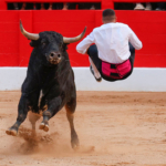 Uno de los participantes del concurso de recortadores del año pasado en santander./gonzalez sport press