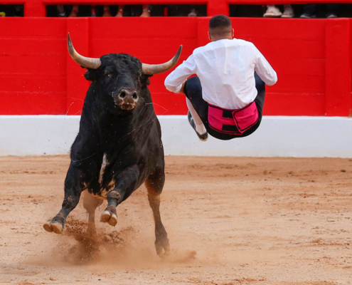 Uno de los participantes del concurso de recortadores del año pasado en santander./gonzalez sport press